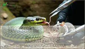 offering the mouse to the snake safely