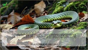 ongoing conservation efforts
