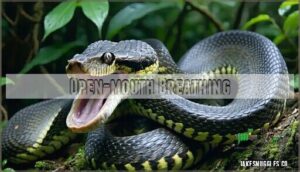 open-mouth breathing