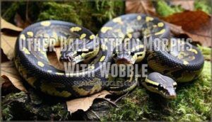 other ball python morphs with wobble