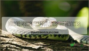 other sensory abilities of snakes