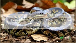 other ways snakes communicate
