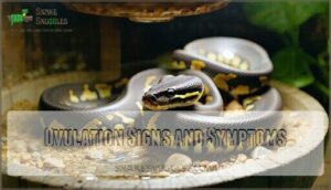 ovulation signs and symptoms