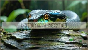 pheromone reception