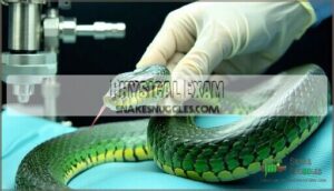 physical exam