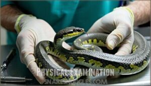 physical examination