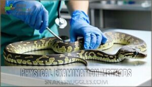 physical examination methods