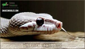 pinprick sensation