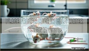 place frozen mice in cold water for 30 minutes