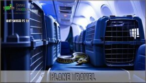 plane travel