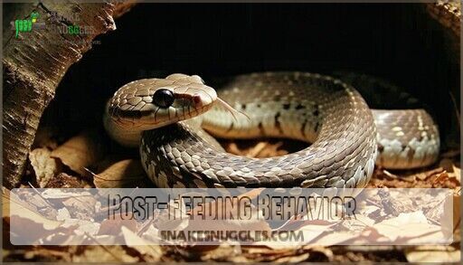 Best Time of Day Feed Snake: Expert Feeding Schedule Guide 2025