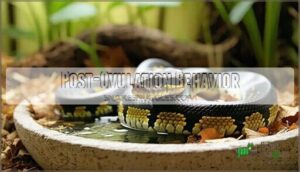 post-ovulation behavior