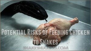 potential risks of feeding chicken to snakes