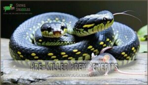pre-killed prey benefits