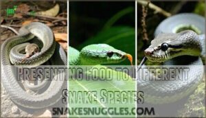 presenting food to different snake species