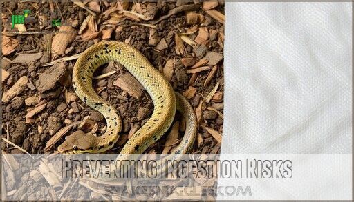 Rotting Snakes Scale Rot in Pet Snakes: Everything You Need to Know & Treat It