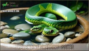 preventing shedding issues