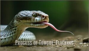 process of tongue-flicking