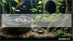 providing a water source or humidity chamber