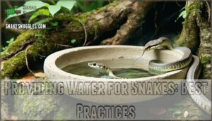 providing water for snakes: best practices