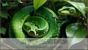 reasons for shedding reasons for shedding