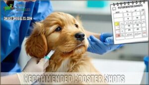 recommended booster shots