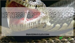 redness or swelling in the mouth
