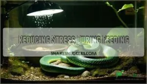 reducing stress during feeding reducing stress during feeding