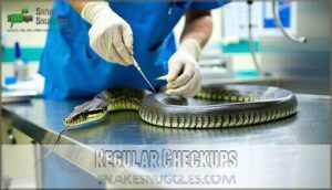 regular checkups