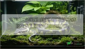 regulating snake temperature at night