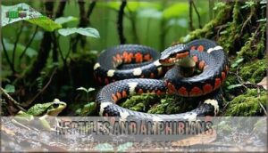 reptiles and amphibians