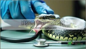 respiratory diseases