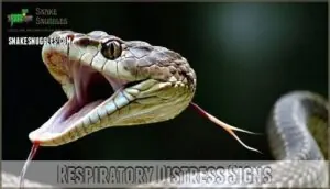 respiratory distress signs respiratory distress signs