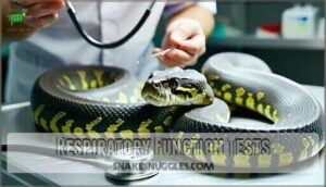 respiratory function tests