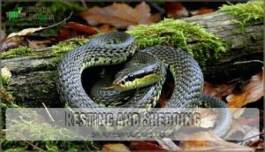 resting and shedding