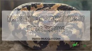 risks and considerations of force feeding risks and considerations of force feeding