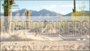 roadrunners