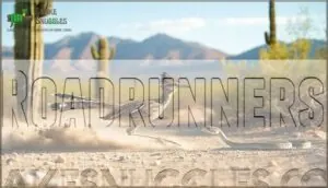 roadrunners roadrunners