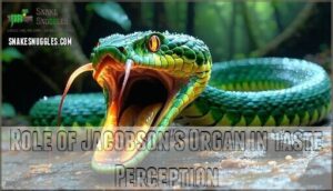 role of jacobson's organ in taste perception