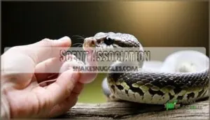 scent association scent association
