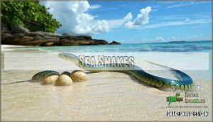 sea snakes