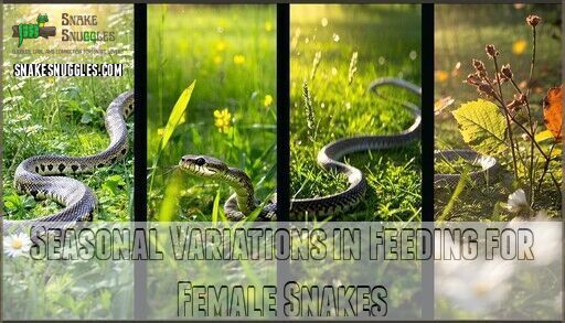 How Often to Feed a Female Snake: Complete Care Guide for Owners