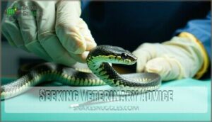 seeking veterinary advice