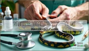 seeking veterinary guidance