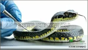 seeking veterinary help seeking veterinary help
