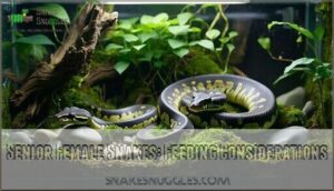 senior female snakes: feeding considerations