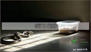 set a trap