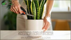 shaping and pruning