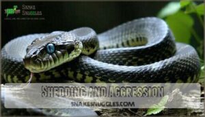 shedding and aggression