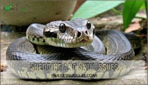shedding and skin issues